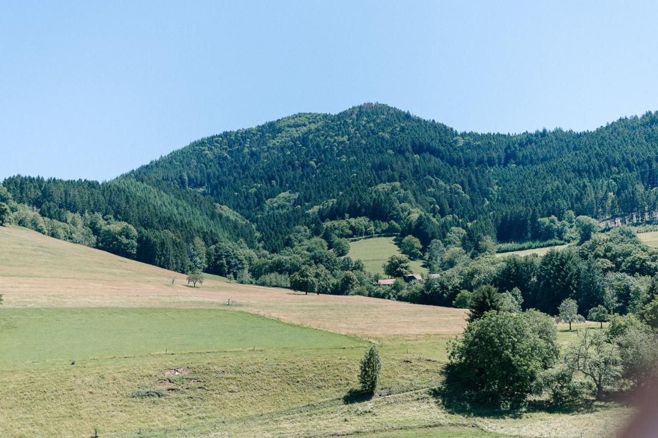 Moderne 2 Zi.-Fewo Blackforest Art Naehe Freiburg Simonswald Bagian luar foto